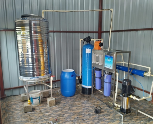 SK Agency - Ro Plants (3)