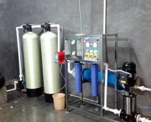 SK Agency - Ro Plants (4)