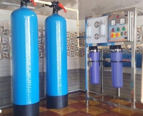 SK Agency - Ro Plants (5)